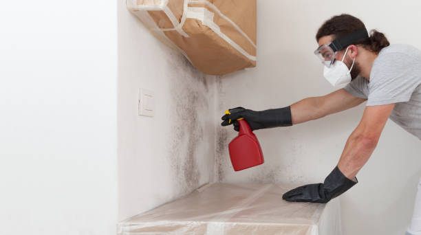 Professional Basement Mold Remediation technician working in Glenville, PA